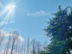-上海滨江森林公园