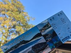 -广东惠东海龟国家级自然保护区