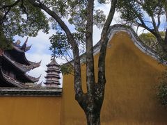 -阿育王寺