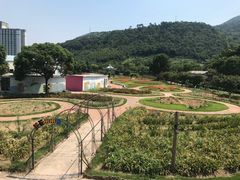 -达蓬山星梦乐园