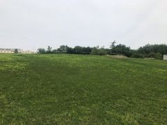 -北京国家会计学院