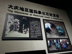 -大庆市博物馆