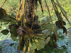 -乡乐园蟹庄·阳澄湖农家乐