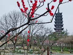 -上海方塔园