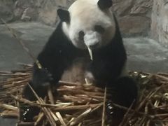 -老码头火锅(骡马市店)