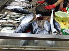 -金鸡岭农贸市场