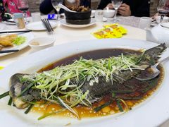 -凤城礼记鱼翅海鲜酒家(新马路总店)