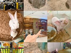 -天河城购物中心