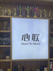-心联形象设计·流星染