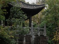 -深圳国际园林花卉博览园