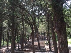 -青州市云门山风景区