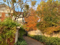 -天津五大道文化旅游区