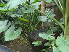 -金稼园·金平湖农家菜