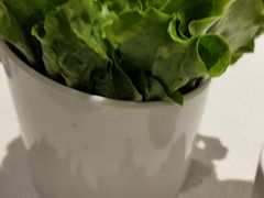 -古乐牛香鲜牛肉牛杂火锅(观前街店)