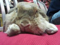 android_upload_pic-MIKAKU(万达广场上海宝山店)