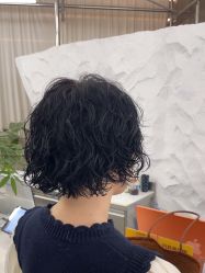 -BOF HAIR BY HONTO