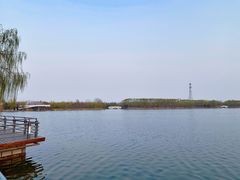 -大兴滨河森林公园