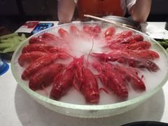 经典冰镇龙虾-红盔甲·小龙虾(天钥桥店)
