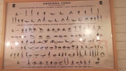 点击看大图 -FineYoga梵音瑜伽·普拉提