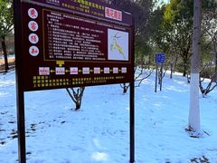 -合肥野生动物园
