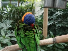 -南宫五洲植物乐园