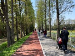 -上海长兴岛郊野公园