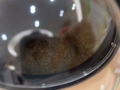 -瑞鹏宠物医院·骨科·猫科·内科(第一中心)