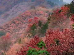 -敬亭山风景名胜区