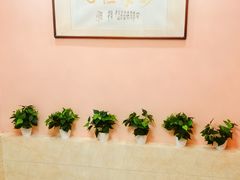 -动物缘宠物医院·骨科·猫科(西二环店)