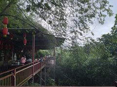 -万兴启丰椰子文化园餐厅