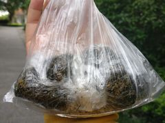 -叶氏麻糍(鼓浪屿店)