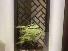 -梧桐栖·养生·spa