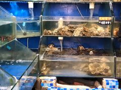 -雅逸居海鲜小厨