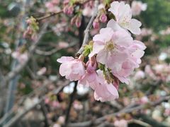 -静安雕塑公园