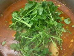 -黑龙滩生态鱼火锅(百寿路店)