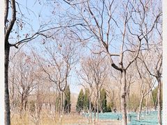 -大兴滨河森林公园