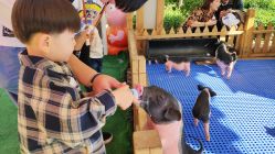 -萌宠亲子动物乐园(槐房万达店)