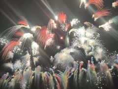 -南宁花花大世界景区