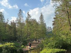 -重庆彩云湖湿地公园