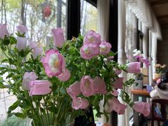 -春暖花开(西溪店)
