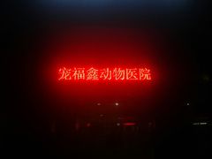 -宠福鑫动物医院(立水桥分院)