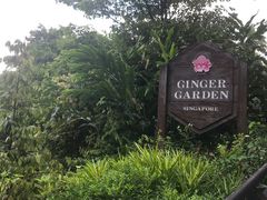 -植物园哈利亚餐厅