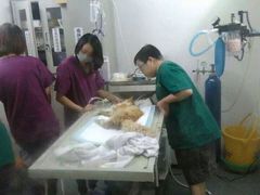 盛京一禾-盛京一禾