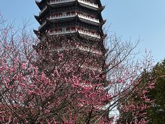 -皇罗禅寺