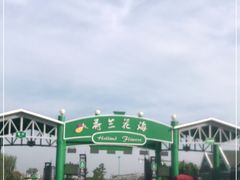 -荷兰花海