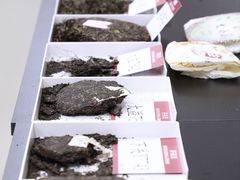 -广东轻工职业技术大学(新港校区)