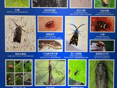 -上海自然博物馆