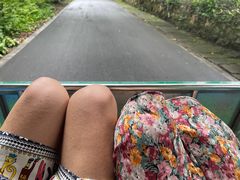 -中国科学院西双版纳热带植物园