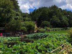 -韶山毛泽东同志故居