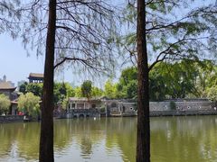-东莞植物园